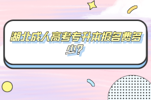 湖北成人高考专升本报名费多少?