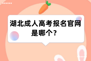 湖北成人高考报名官网是哪个?
