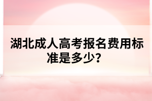 湖北成人高考报名费用标准是多少？