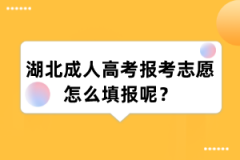 湖北成人高考报考志愿怎么填报呢？