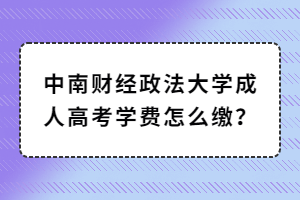 中南财经政法大学成人高考学费怎么缴？