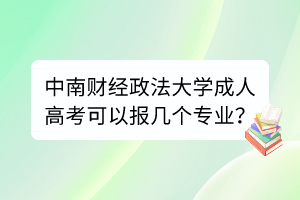 中南财经政法大学成人高考可以报几个专业？